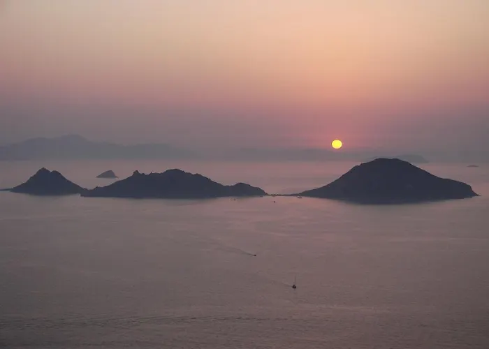 Paradise Apart 아파트호텔